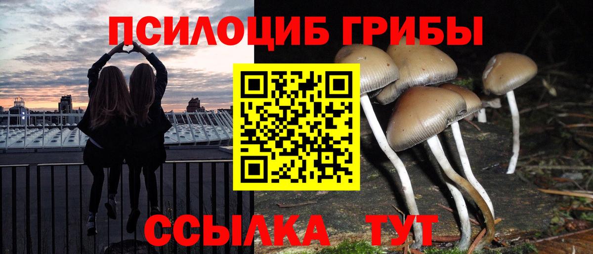 цены   Кохма  Галлюциногенные грибы ЛСД 