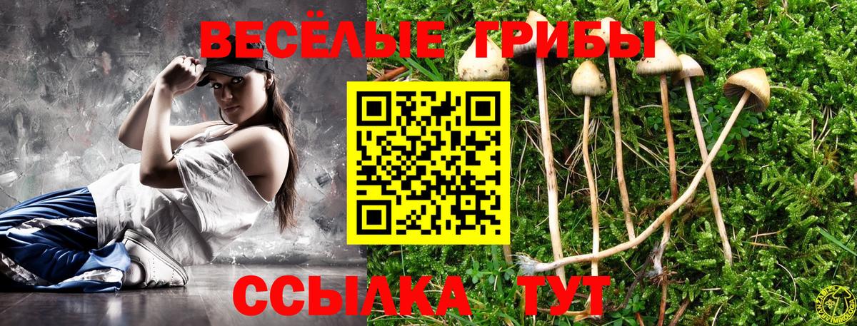 Псилоцибиновые грибы Psilocybe  Вход с VPN  наркотики  Кохма 