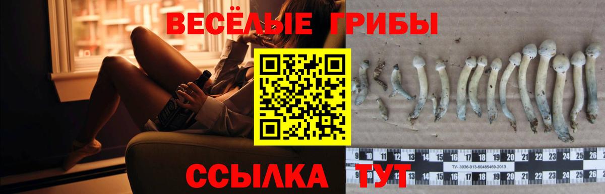 Псилоцибиновые грибы мицелий Кохма